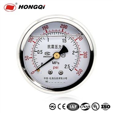 Flüssigkeitsgefülltes Manometer aus Edelstahl